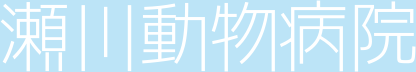 亀岡市の瀬川動物病院　